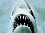 Jaws