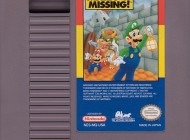 MarioIsMissing