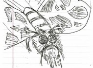 beardbug-small