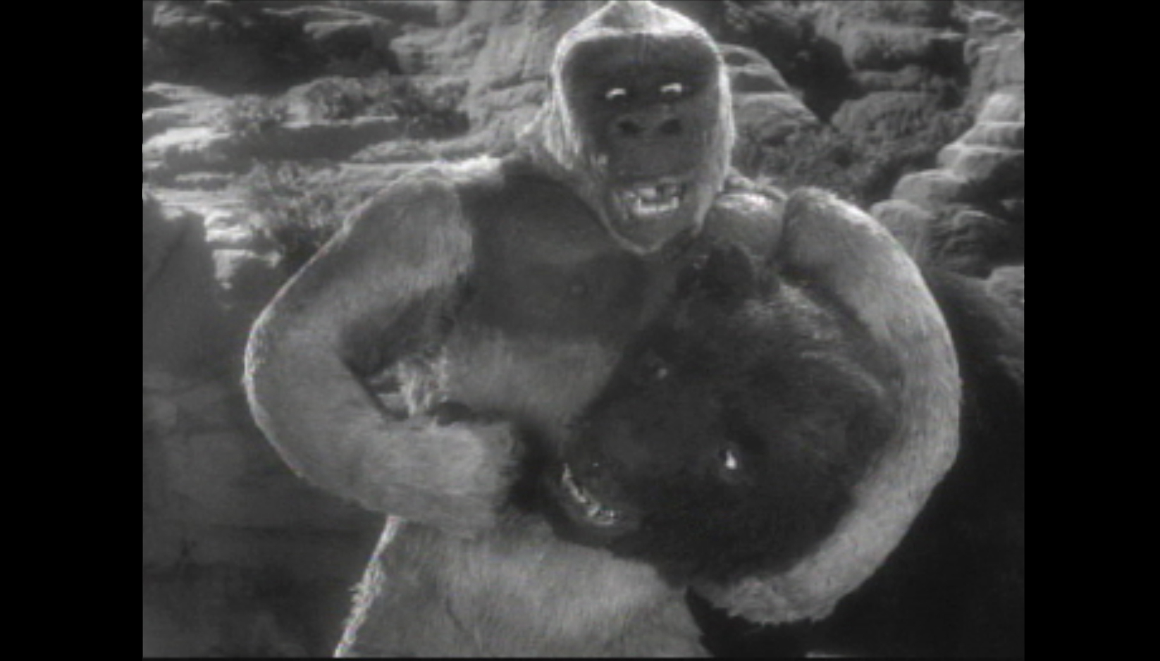 Son of Kong (1933) | Cinemassacre Productions1646 x 938