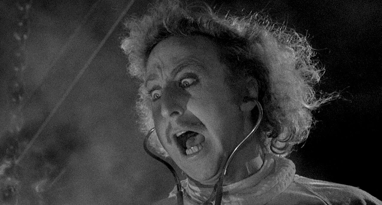 Image result for young frankenstein