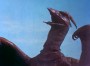 012 Rodan